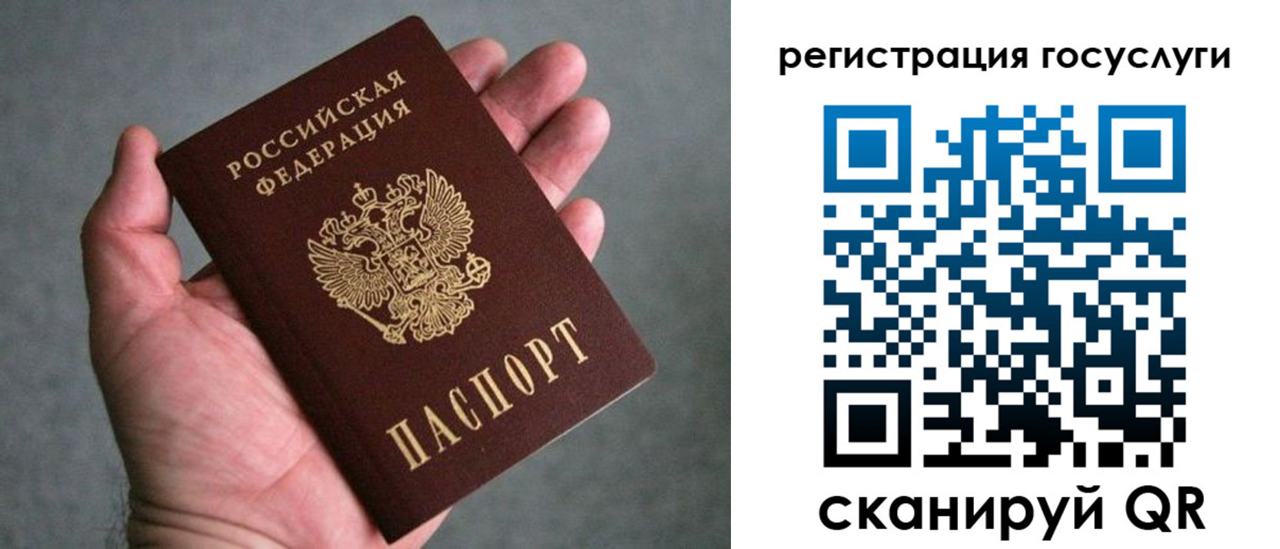 прописка поиск в Змеиногорске